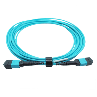 OM4 Multimode Type B Plenum MTP Trunk Cable 5M 12 sợi MTP Female 12fmtpom4